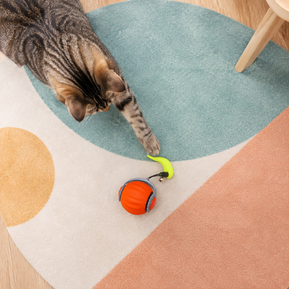 🏀PELOTA INTERACTIVA PARA MASCOTAS 😺🐶