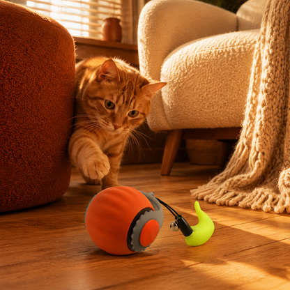 🏀PELOTA INTERACTIVA PARA MASCOTAS 😺🐶