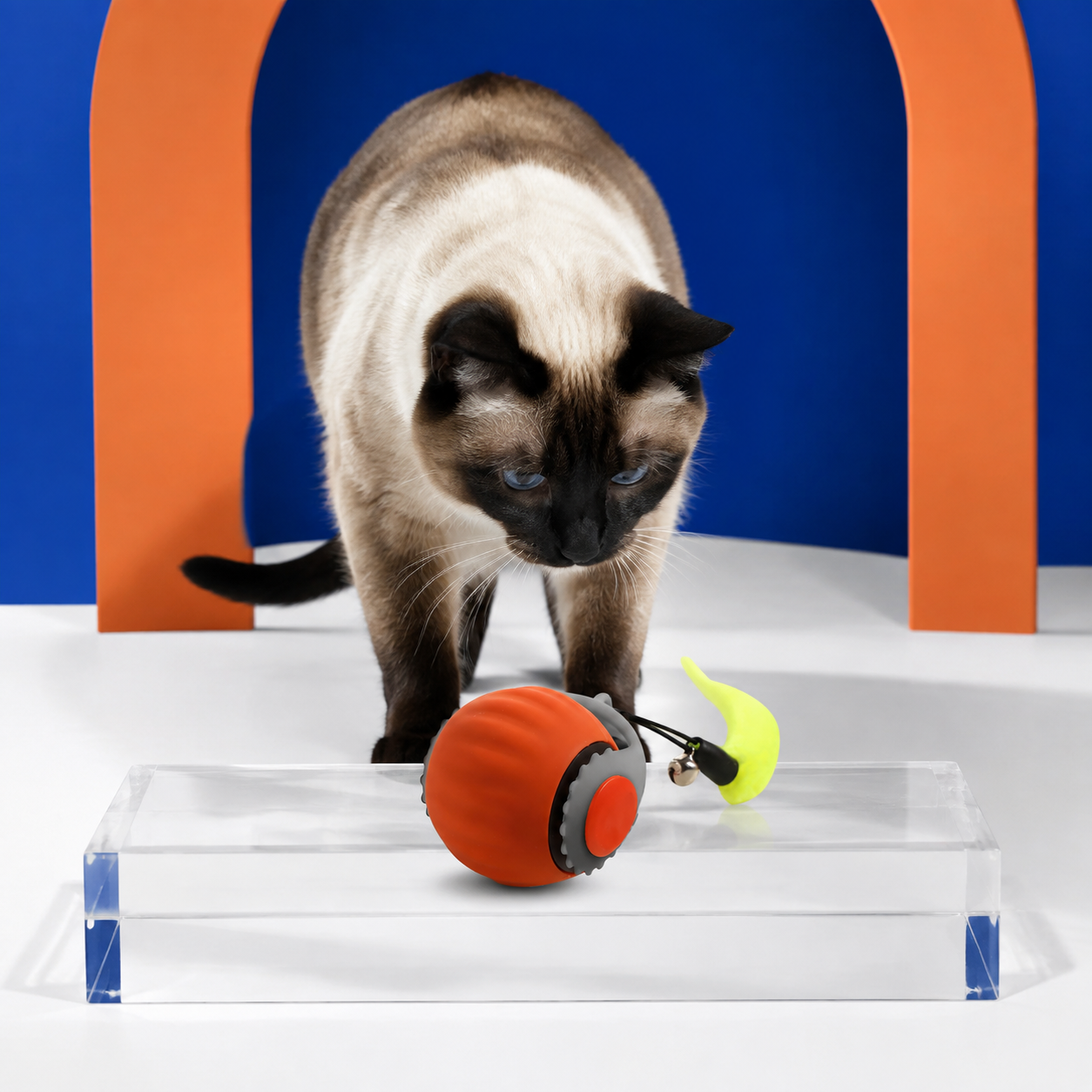 🏀PELOTA INTERACTIVA PARA MASCOTAS 😺🐶